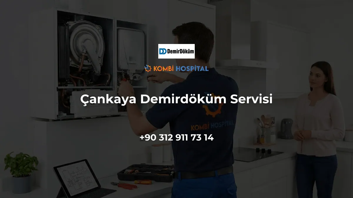 Çankaya Demirdöküm Servisi